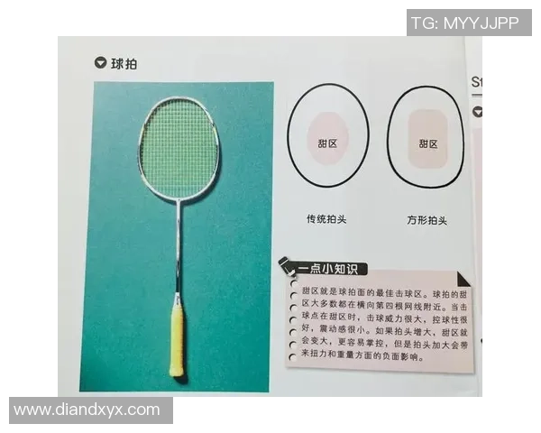 上海羽毛球队的深度解析与控制策略探秘 上海羽毛球队的深度解析与控制策略探秘