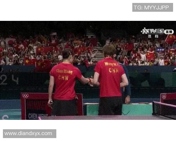 乒乓球盛宴揭秘杭州乒乓球队的实力与荣耀之路 乒乓球盛宴揭秘杭州乒乓球队的实力与荣耀之路