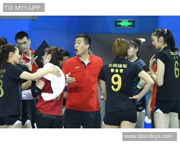 专访赵磊：探寻排球背后的成功秘诀与奋斗历程