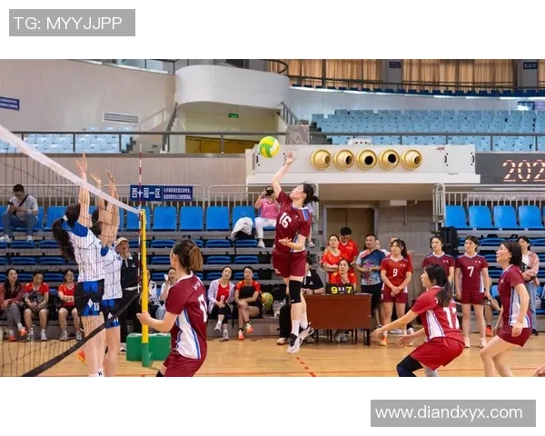 广州排球队在全国锦标赛中的团队协作表现分析与点评 广州排球队在全国锦标赛中的团队协作表现分析与点评