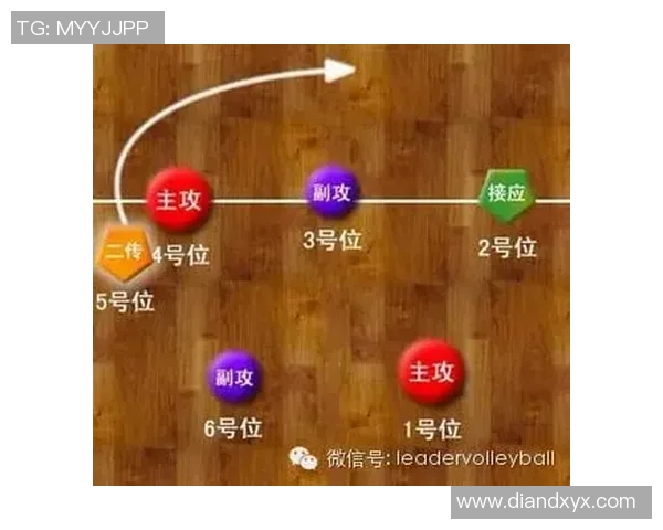 杭州排球队快攻战术深度分析与实战应用探讨 杭州排球队快攻战术深度分析与实战应用探讨