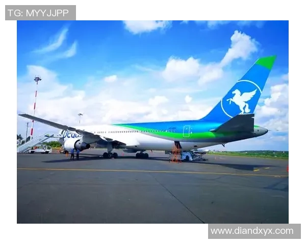 上海乒乓球队逆袭之旅揭秘世界杯背后的奋斗与荣耀