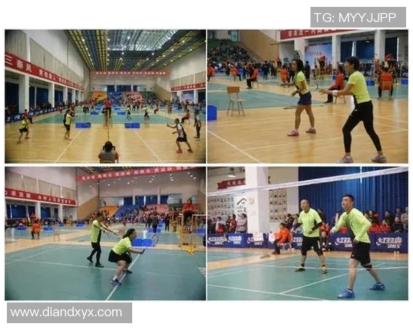 西安羽毛球队与武汉羽毛球队赛后分析力量对比与战术探讨