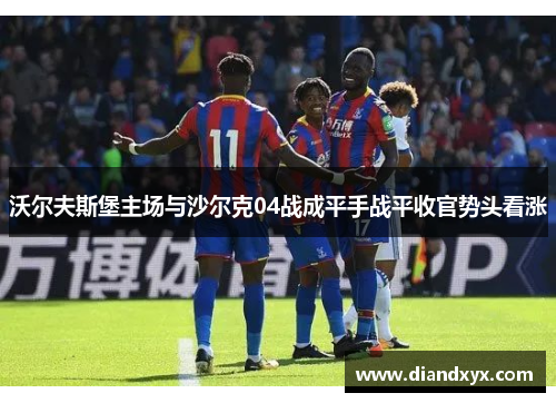 沃尔夫斯堡主场与沙尔克04战成平手战平收官势头看涨